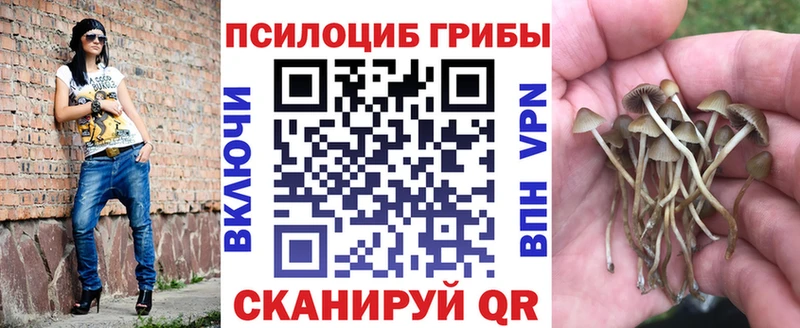 hydra вход Мелеуз Псилоцибиновые грибы Cubensis